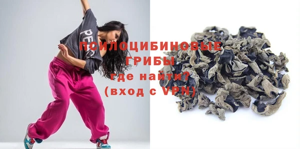 эйфоретик Алзамай