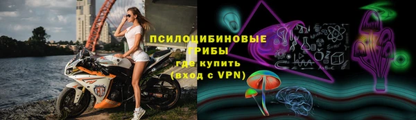 тгк Абаза