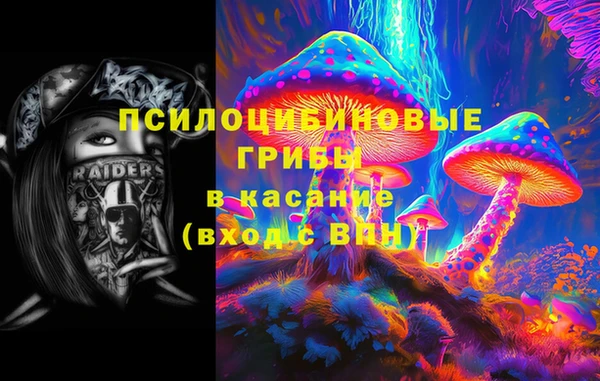 стафф Алексин