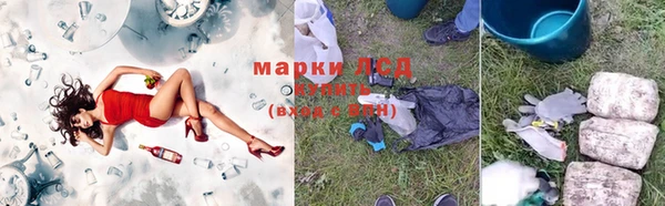 стафф Алексин