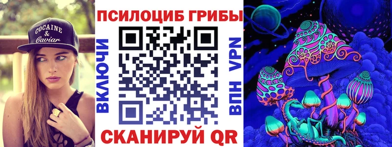 Псилоцибиновые грибы Psilocybe Ирбит